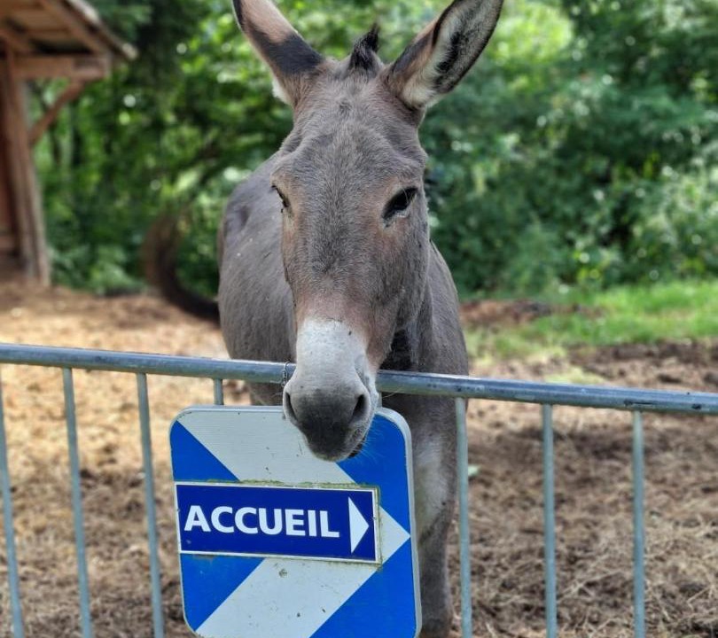 Photo of Others in Les Adrets