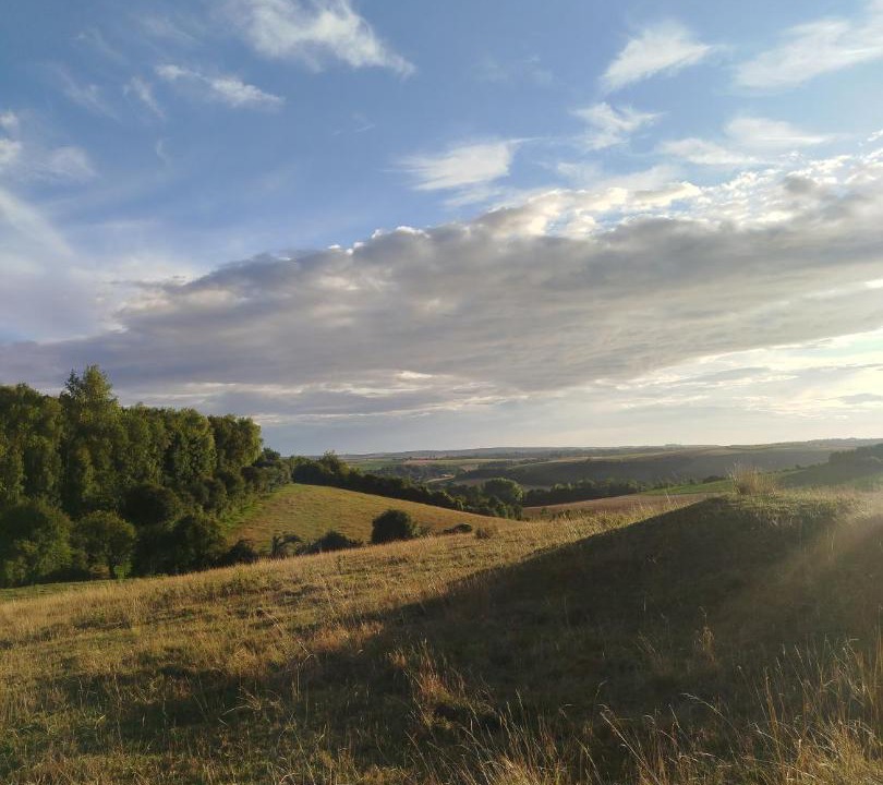 Photo of Others in Parenty