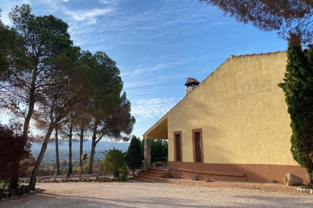 Photo of Others in Xerta