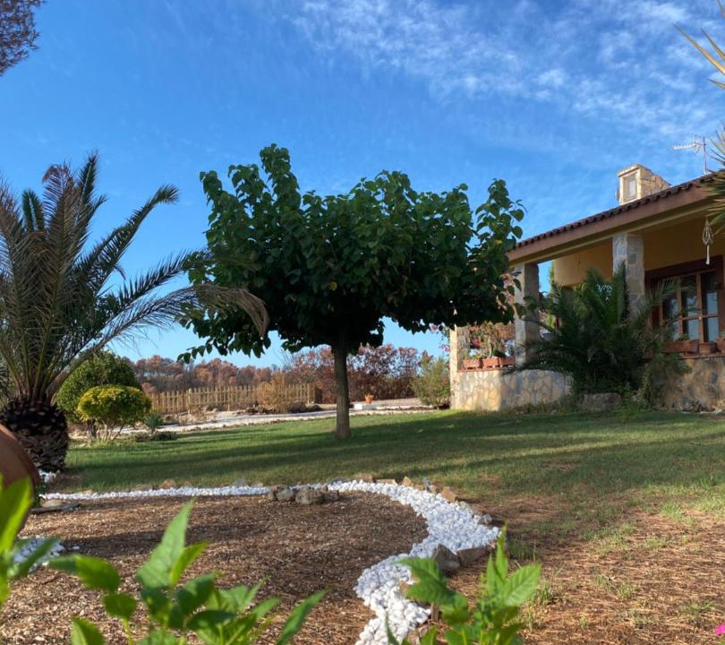 Photo of Others in Xerta