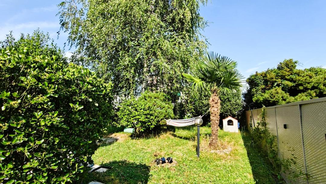 Photo of Others in Pedrinate