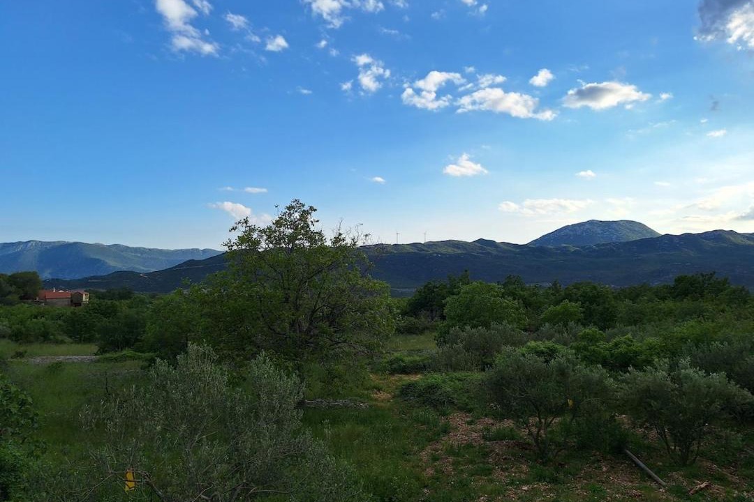 Photo of Others in Central Dalmatia