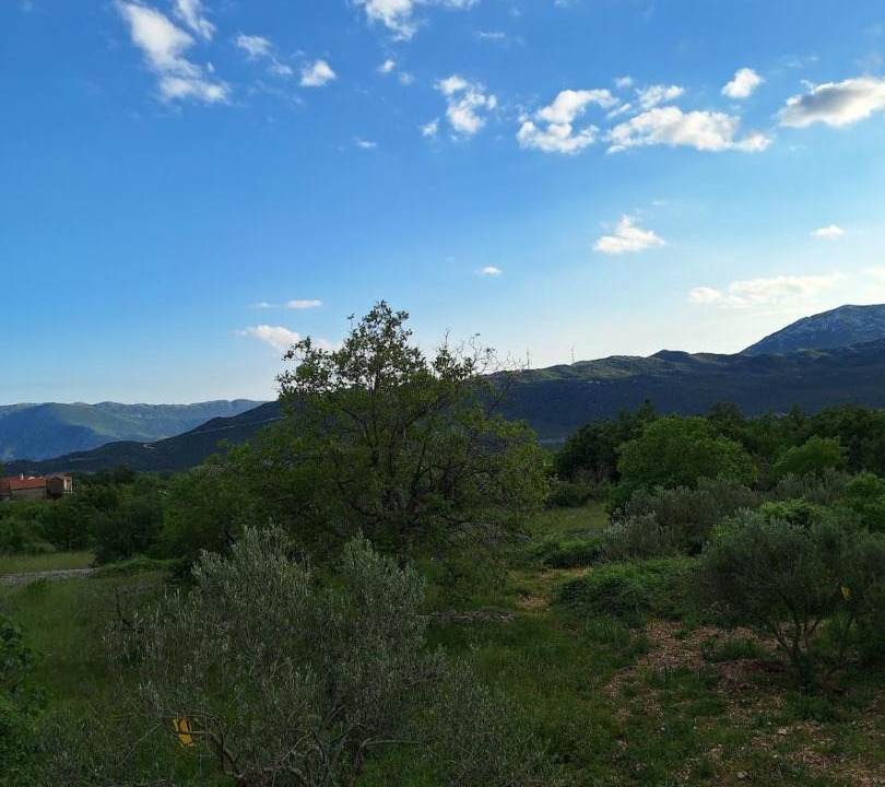 Photo of Others in Central Dalmatia