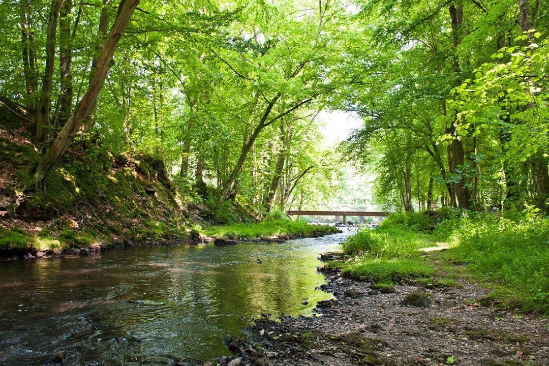 Photo of Others in Hirson