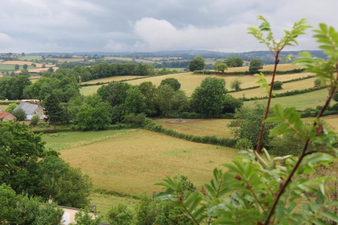 Photo of Others in Cuzy