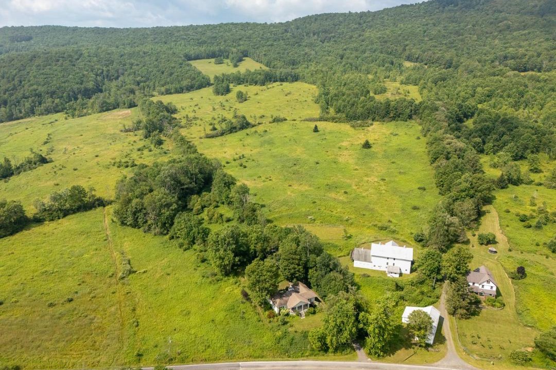 Photo of Others in New Kingston