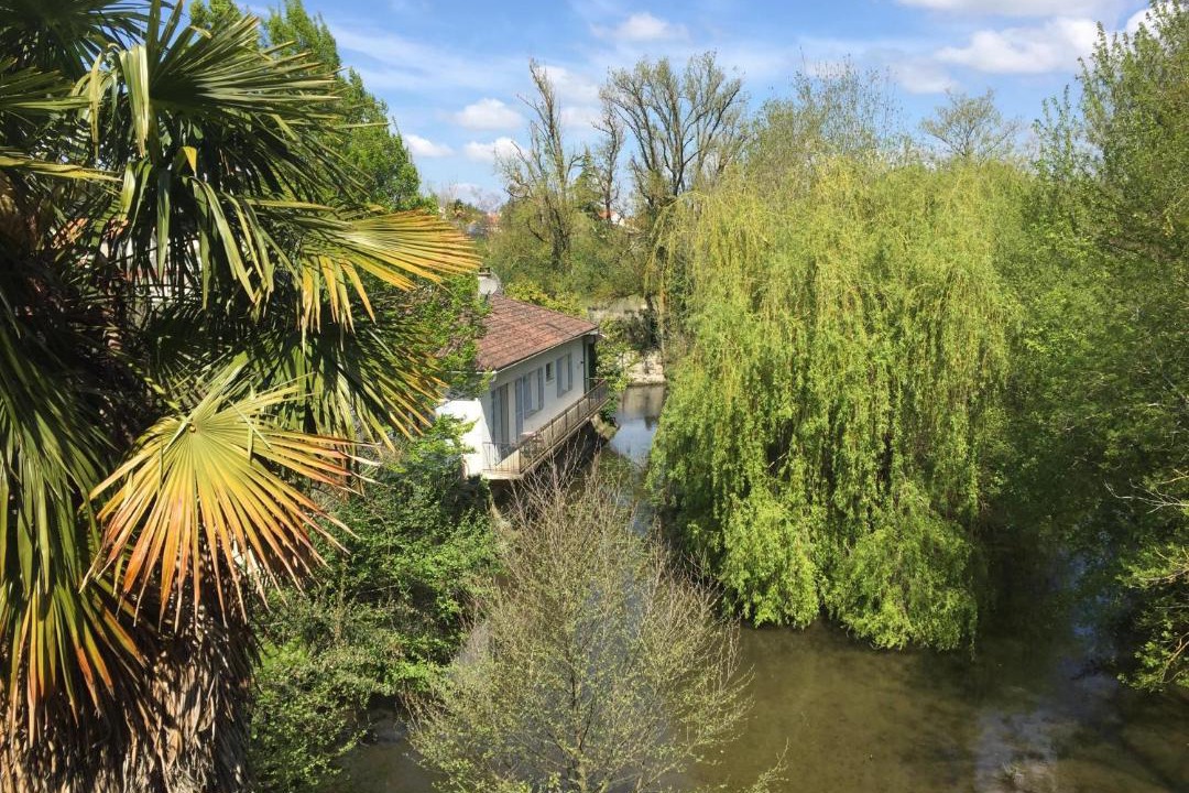 Photo of Others in Pons