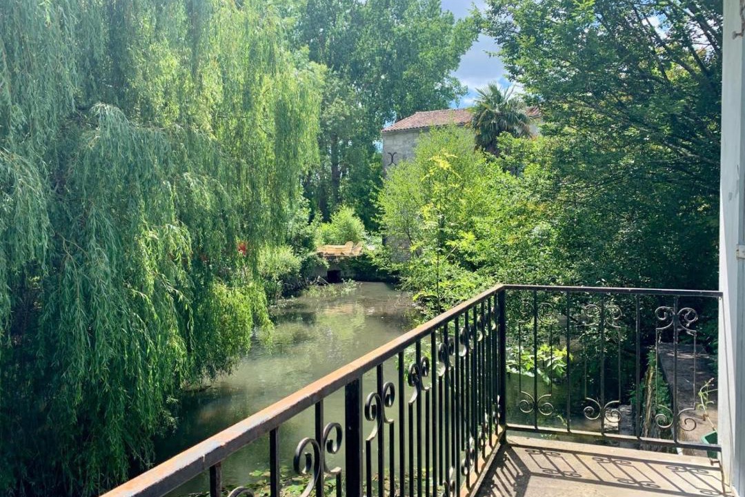 Photo of Others in Pons