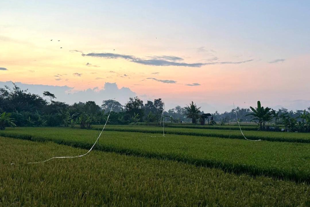 Photo of Others in Mas