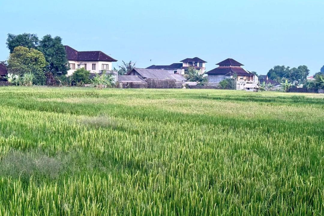 Photo of Others in Mas