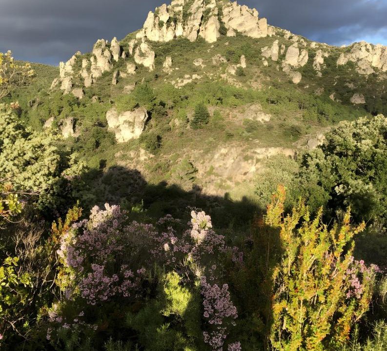 Photo of Others in Moureze