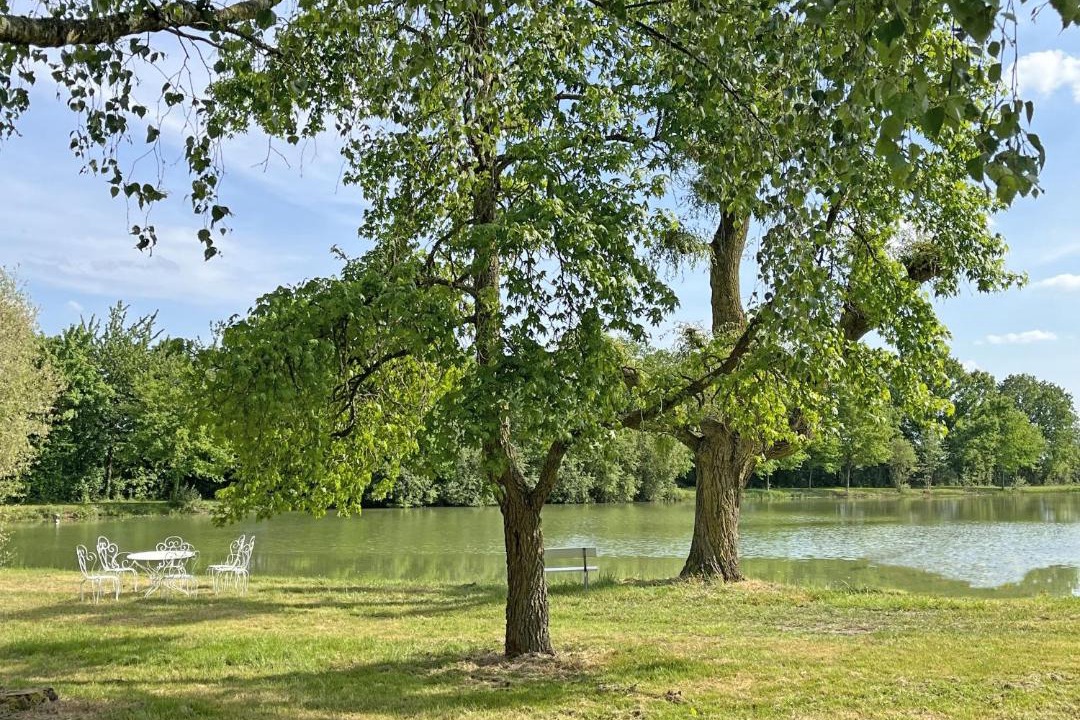 Photo of Others in Aron