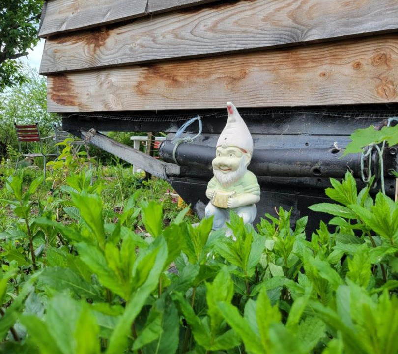 Photo of Outdoor in Besson