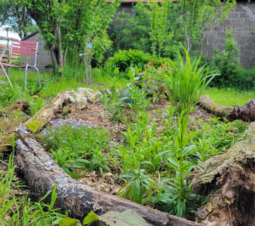 Photo of Others in Besson