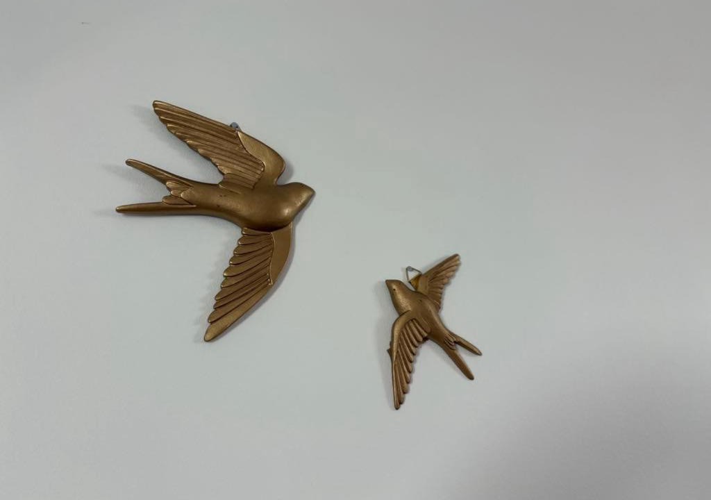 Photo of Others in Forest-Montiers