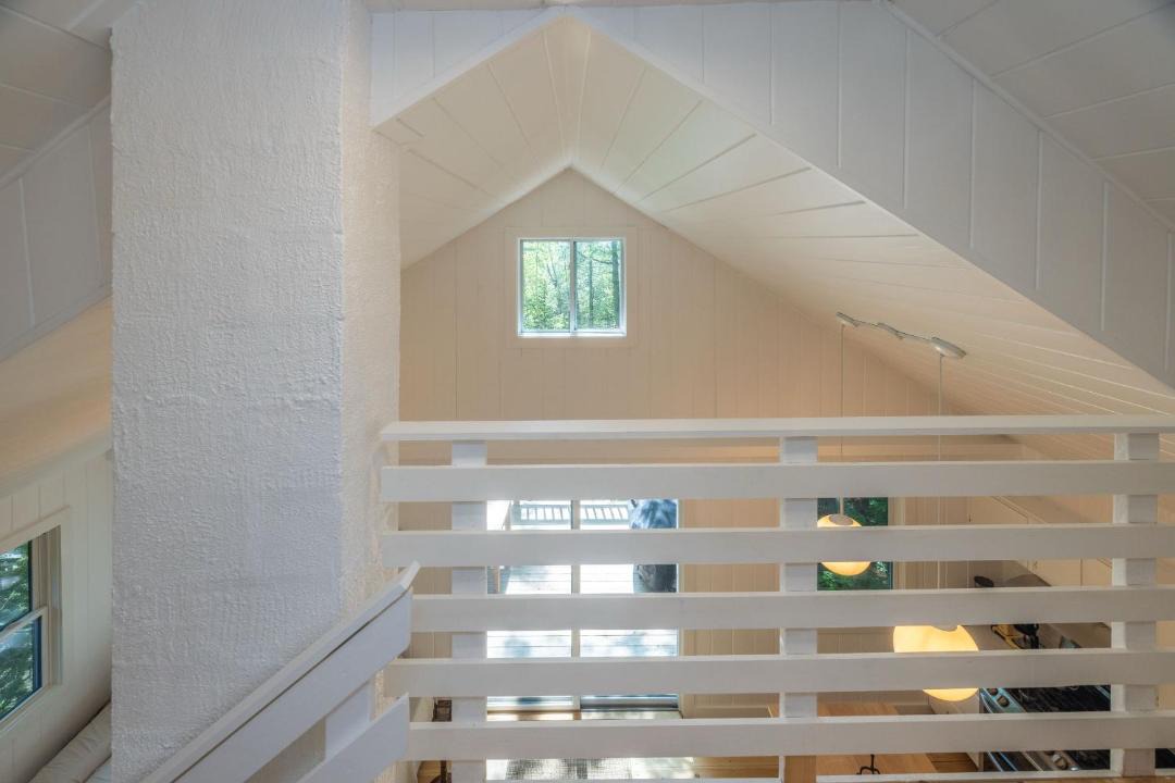 Photo of Others in Belfast