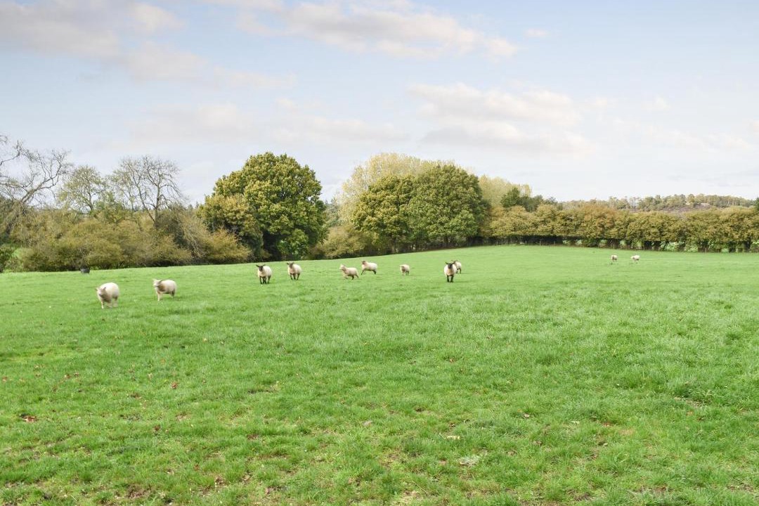 Photo of Others in Churt