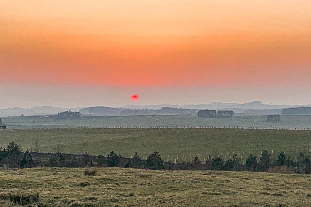 Photo of Others in Hallington