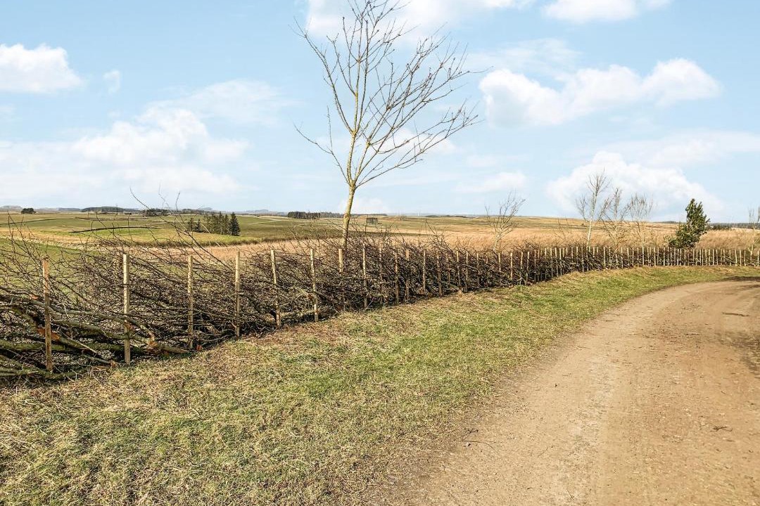 Photo of Others in Hallington