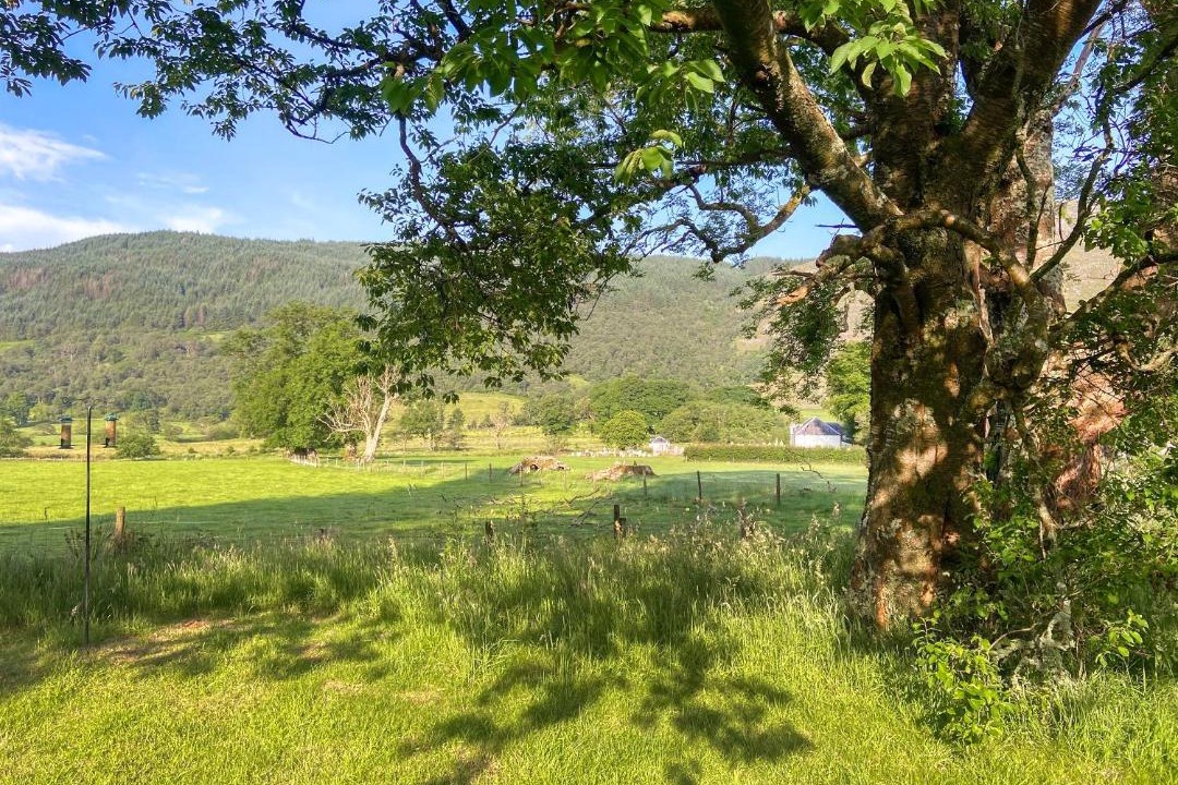 Photo of Others in Glendaruel