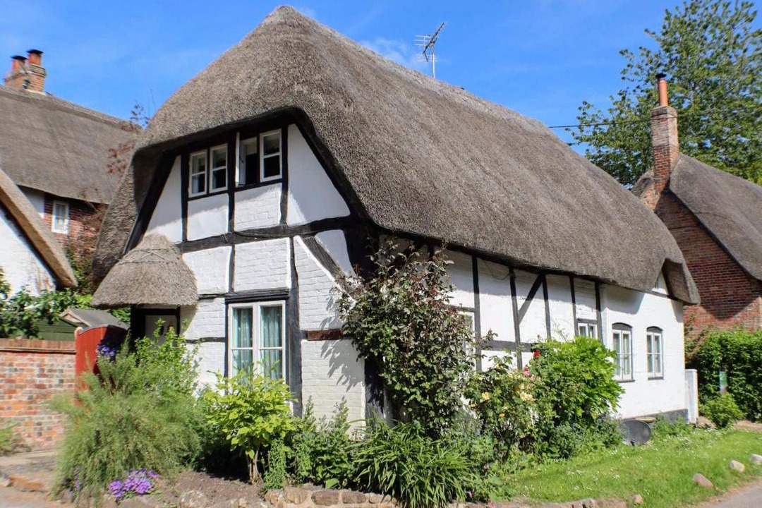 Photo of Others in Marlborough