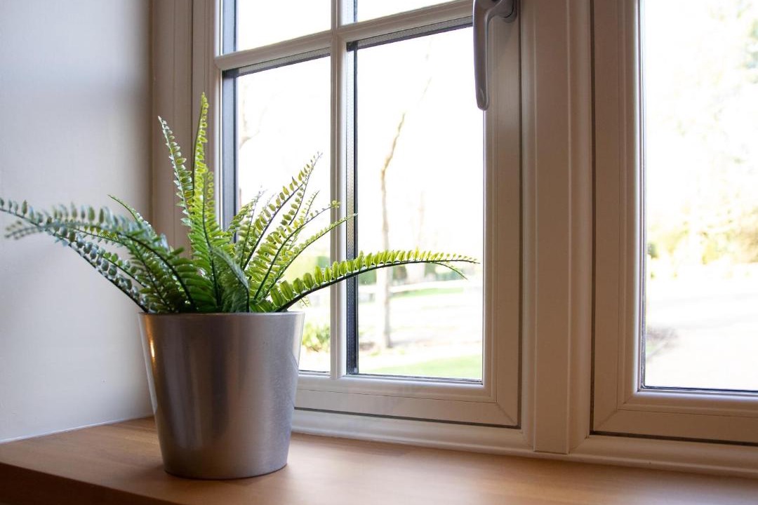 Photo of Others in Worthing