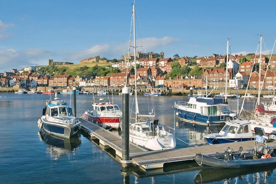 Photo of Others in West Cliff