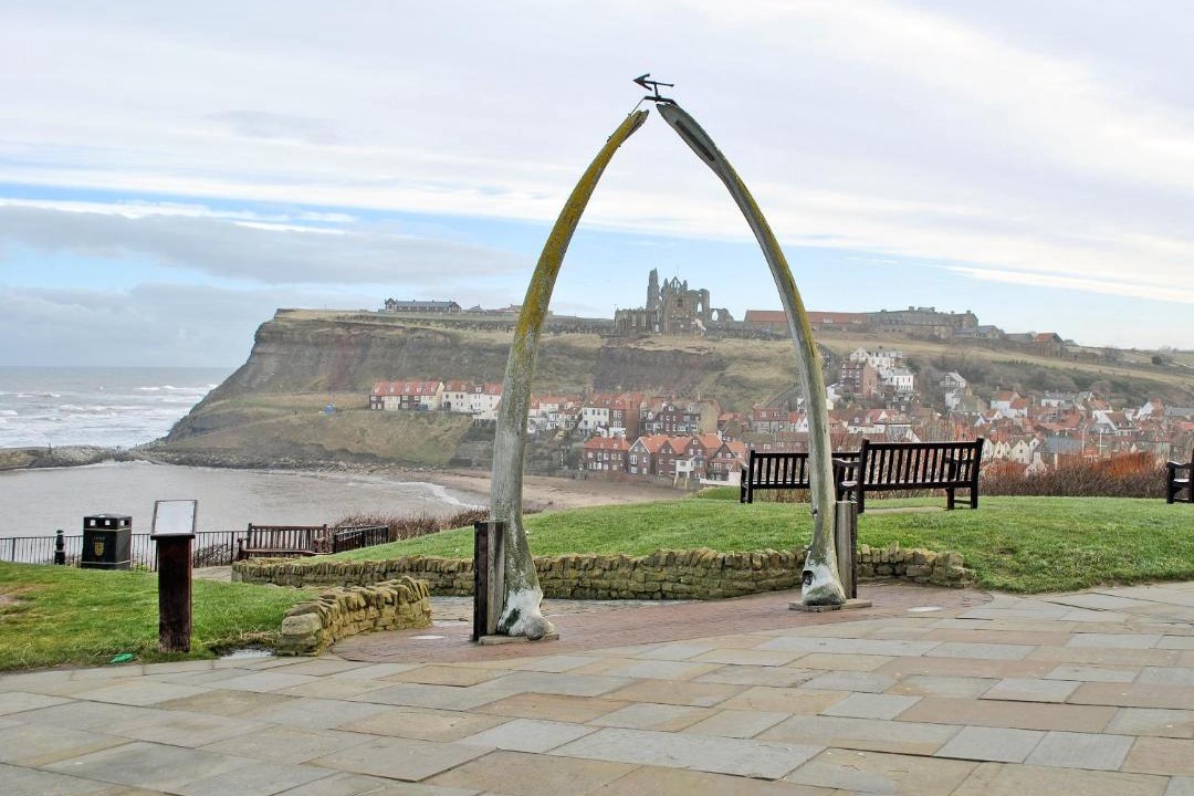 Photo of Others in West Cliff