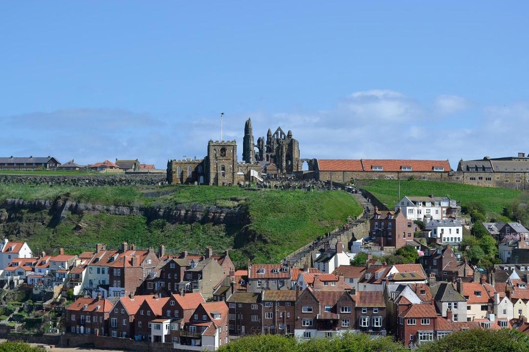 Photo of Others in West Cliff