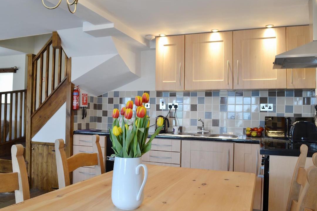 Photo of Others in Glandyfi