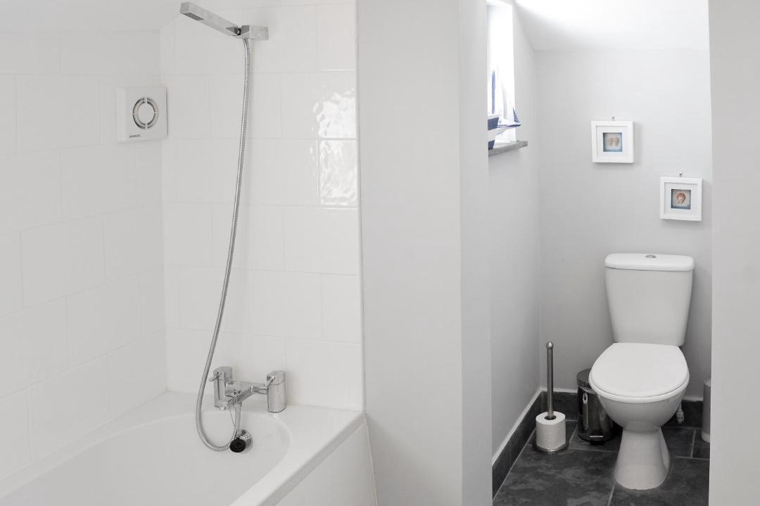 Photo of Others in The Lizard