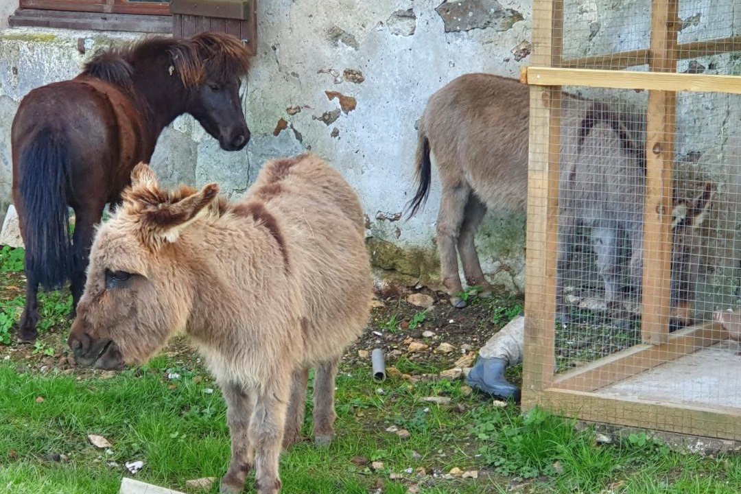 Photo of Others in Sablonnieres