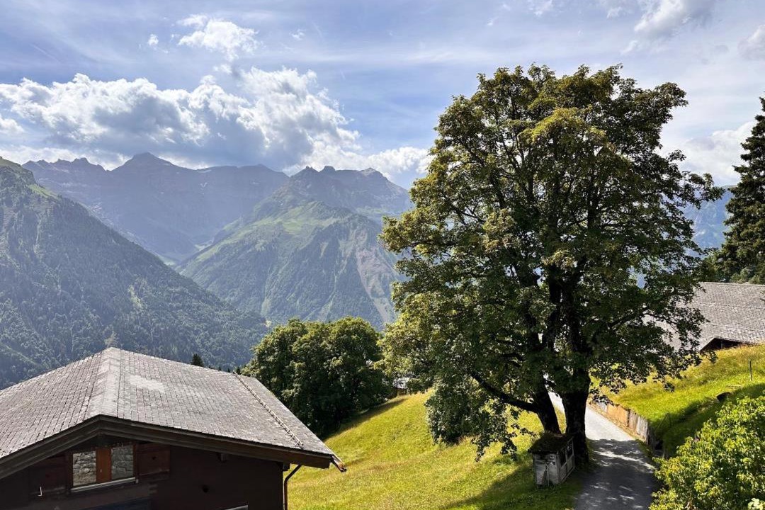 Photo of Others in Braunwald