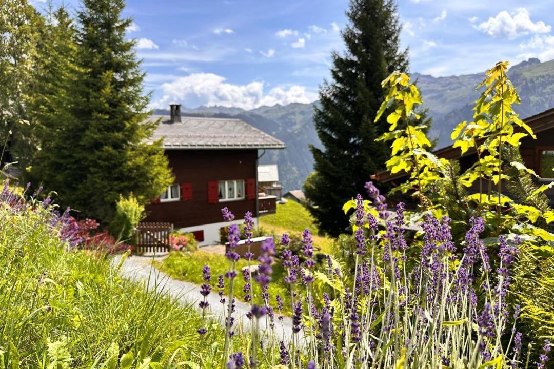 Photo of Others in Braunwald