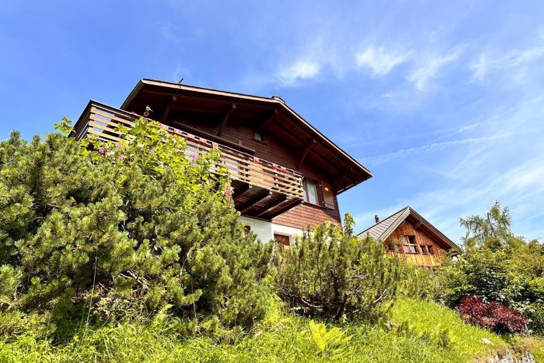 Photo of Others in Braunwald