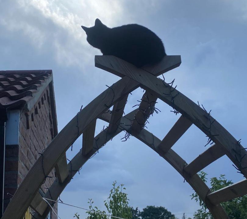 Photo of Others in Winestead