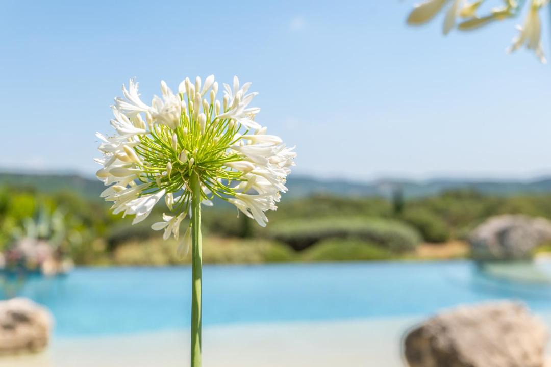 Photo of Others in La Garde-Adhemar