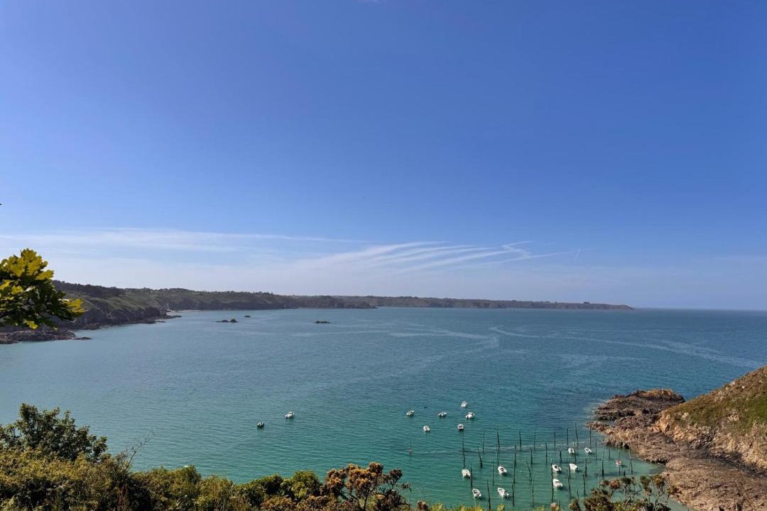 Photo of Others in Yvias