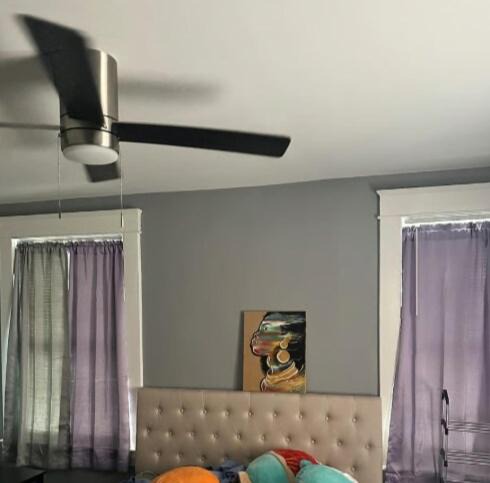 Photo of Others in Brooklyn