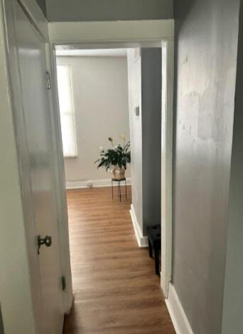 Photo of Others in Brooklyn