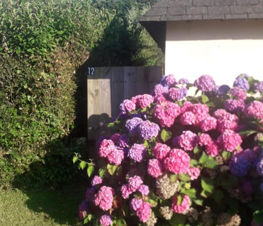 Photo of Others in Blonville-sur-Mer