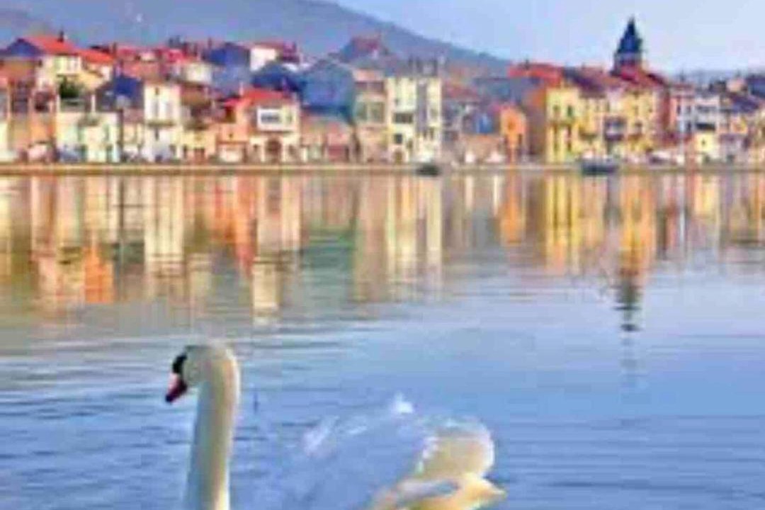 Photo of Others in Saint-Vallier