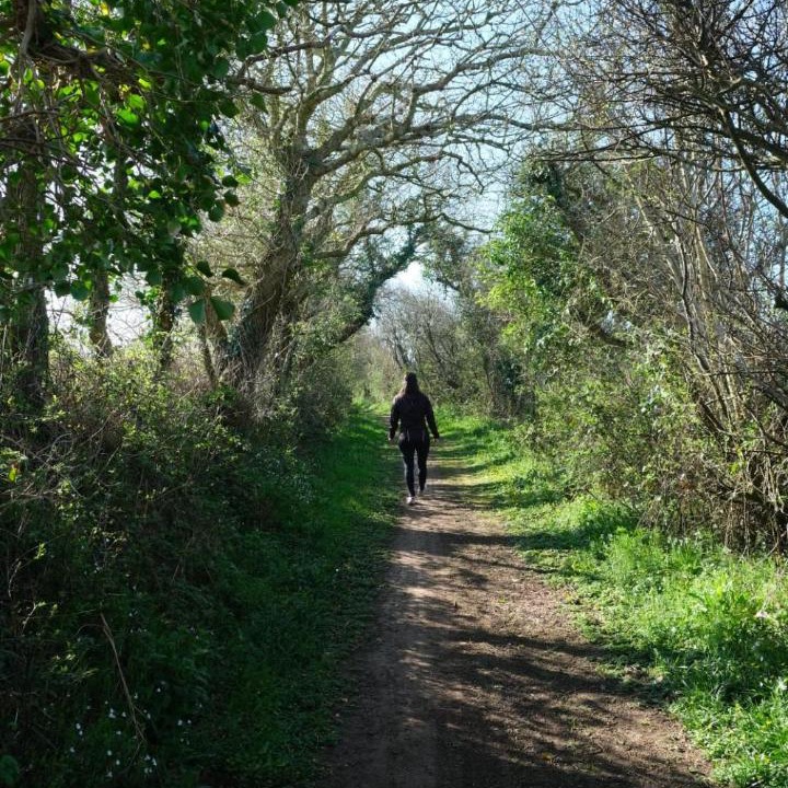 Photo of Others in Lanrivoare