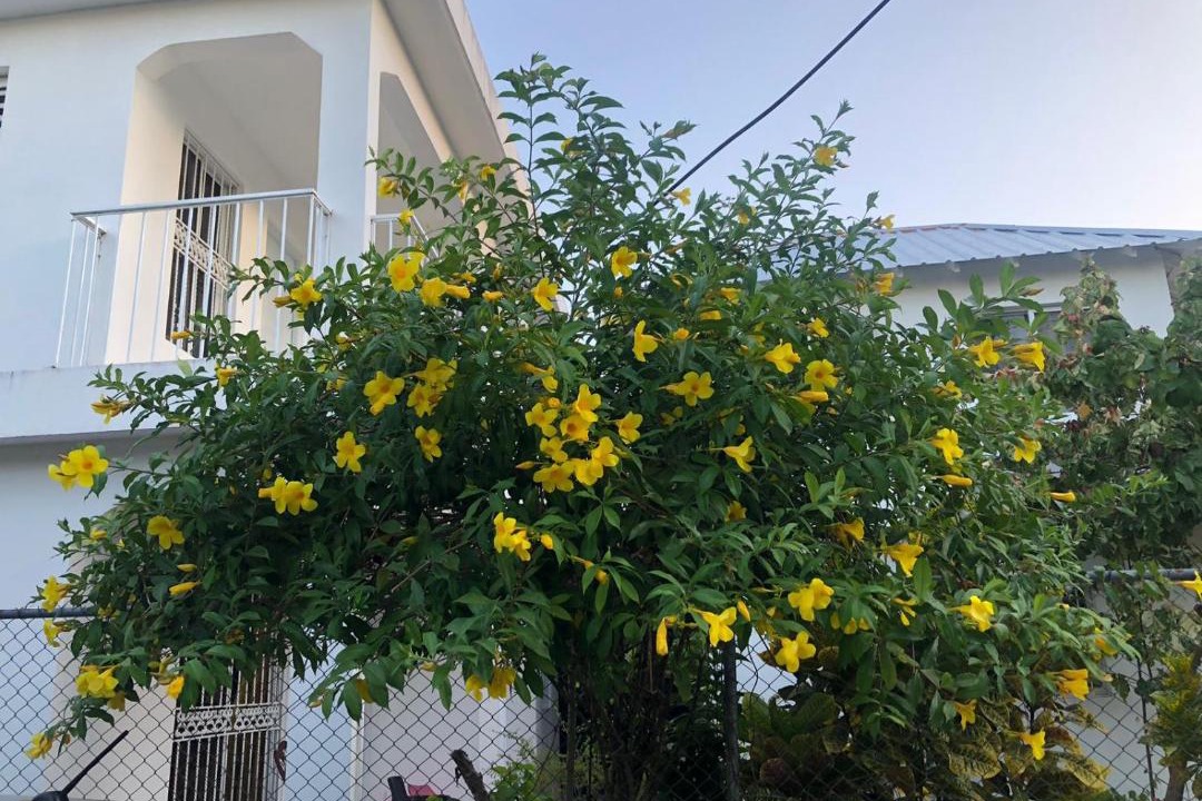 Photo of Others in Las Terrenas