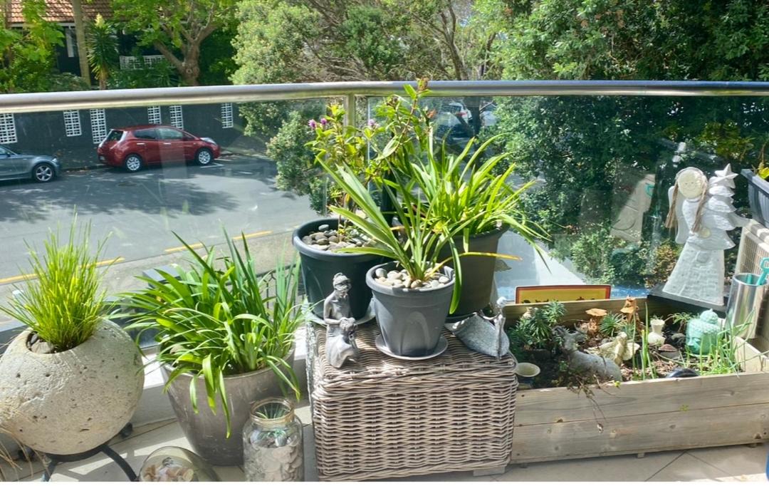Photo of Patio Balcony in Takapuna