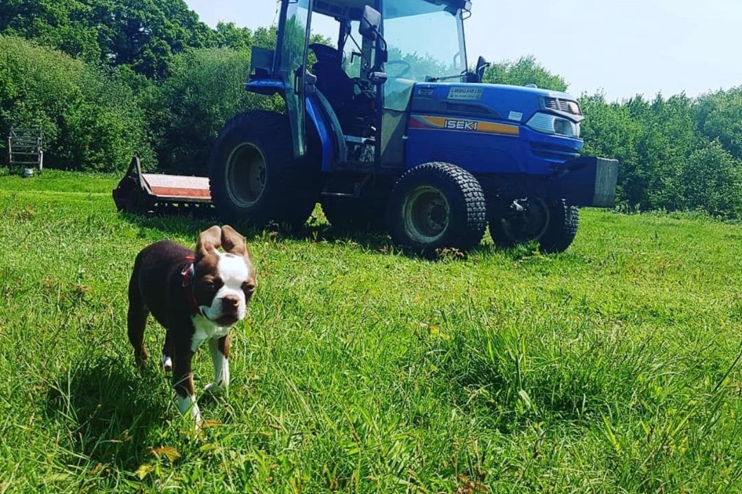 Photo of Others in Cranbrook