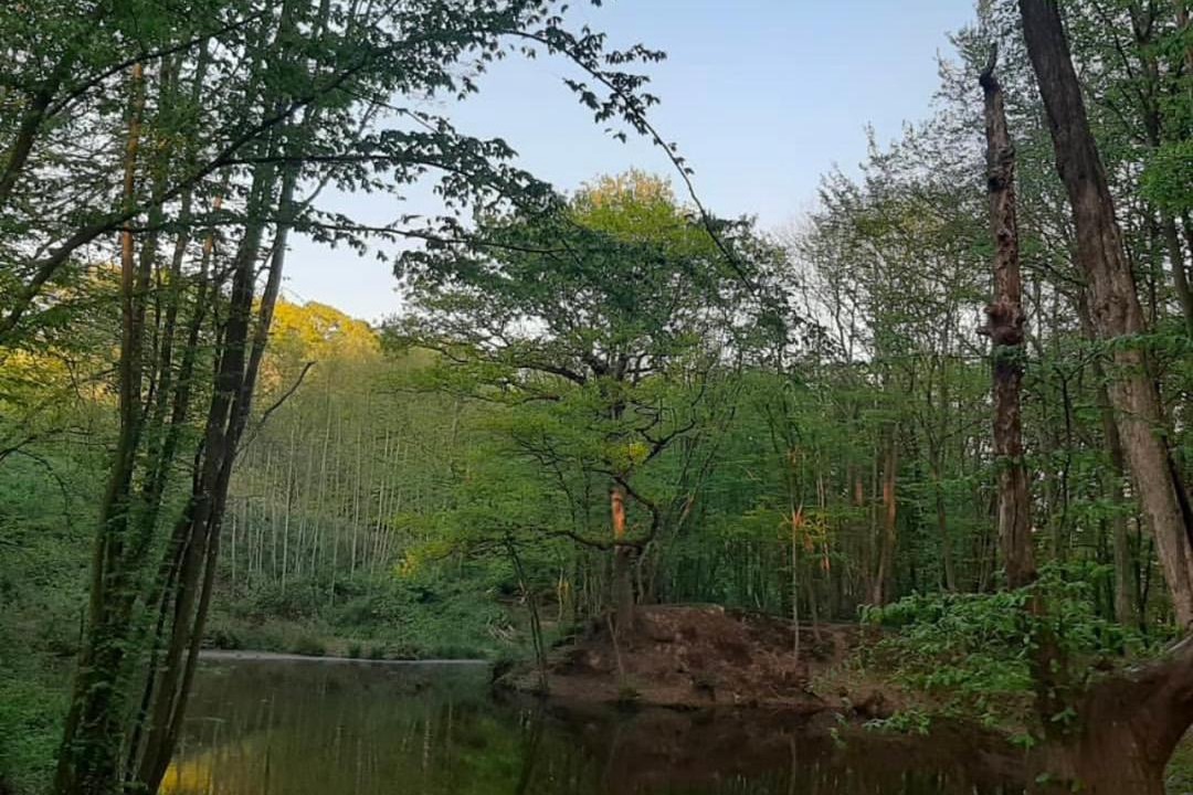 Photo of Others in Cranbrook