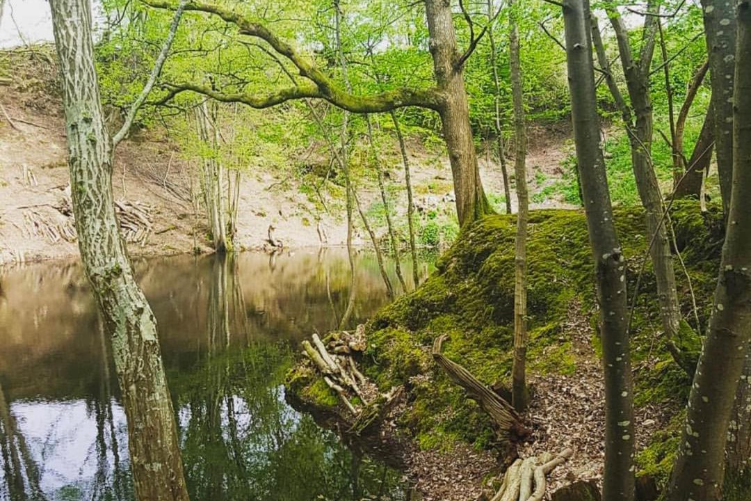 Photo of Others in Cranbrook