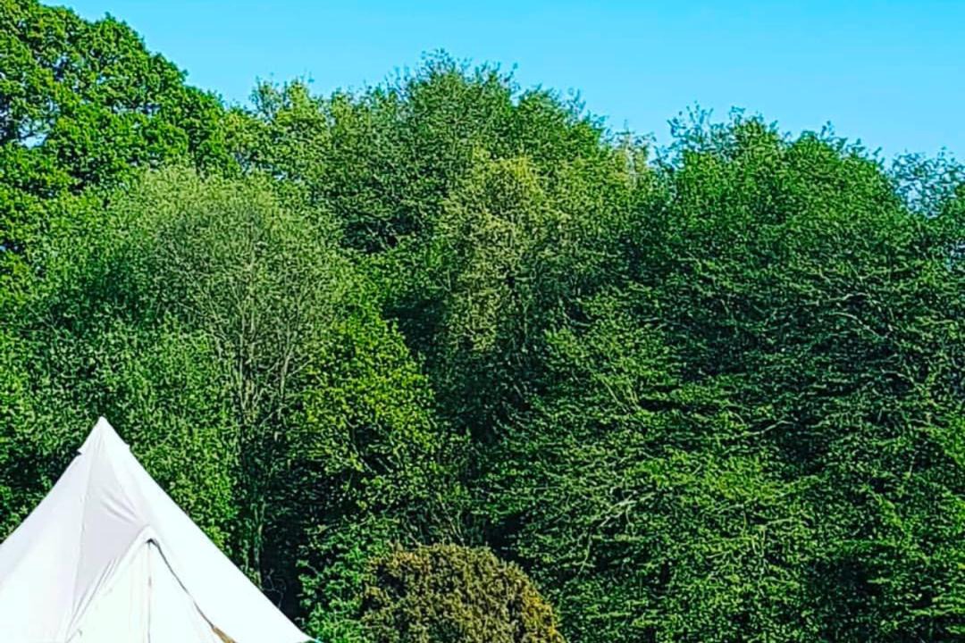 Photo of Others in Cranbrook