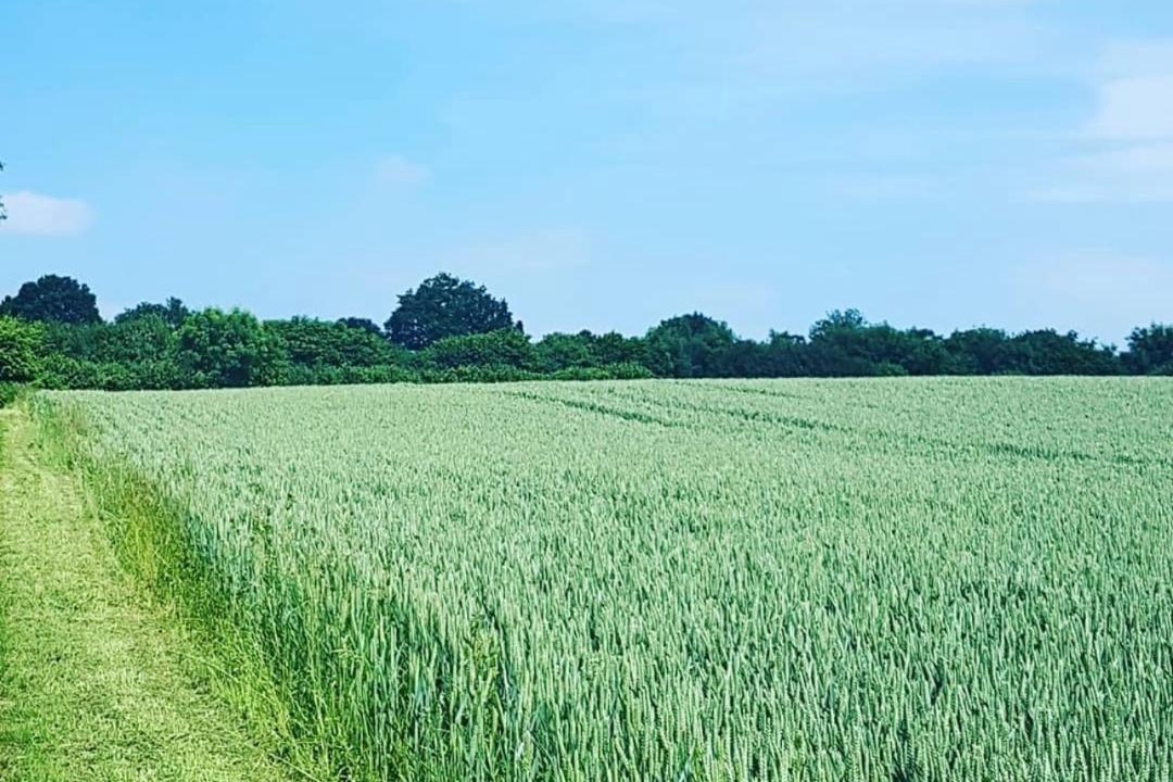 Photo of Others in Cranbrook